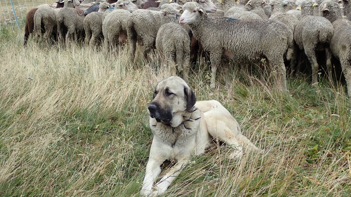 Anatolie c pnrl julien baudat